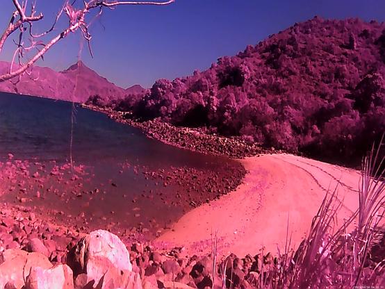 a very pink beach (water is still pretty blue though)