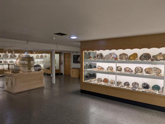 Another photo of display cases, this time with lots of different types of petrified wood.
