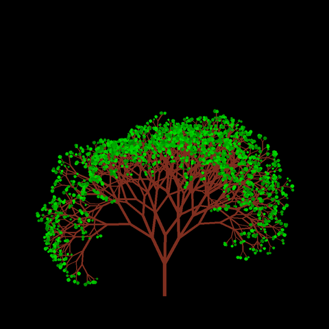 A computer generated fractal tree