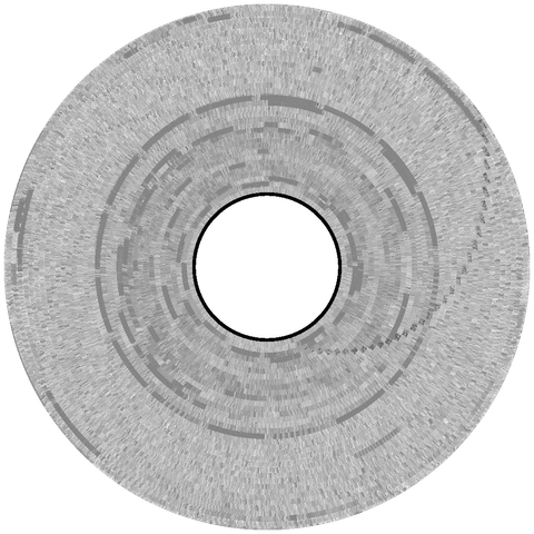 A graphical representation of the flux transitions which represent data on magnetic floppy disks, captured by the Applesauce Disk Controller from the disk titled A Treasure Hunt of Facts - Skill-Building Disk 2
