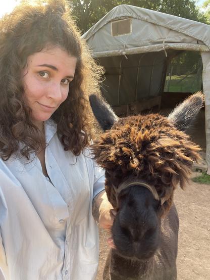 Alpaka Roy und ich