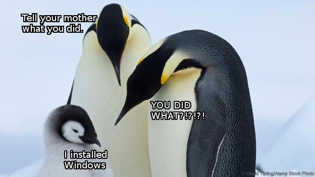 A penguin family with speech bubbles: adult penguins express shock and surprise, while the chick humorously reveals, "I installed Windows." Playful tone.