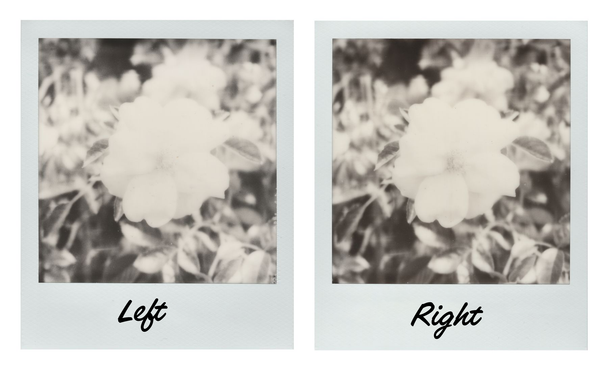 polaroid film tests
