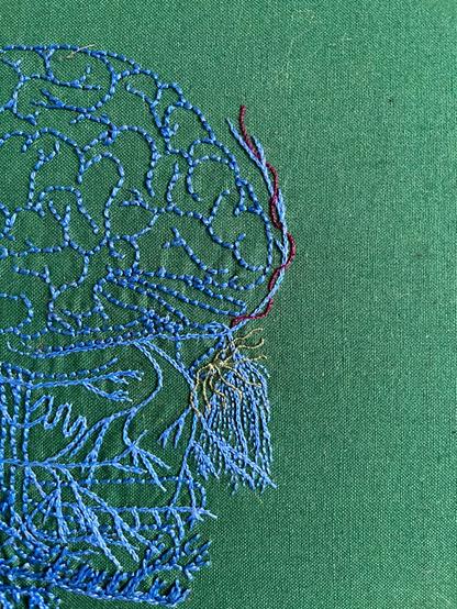 Detail from the wandering ghost (2024) 

An embroidery of a head and neck stitched in blue thread on green cloth. The brain is stitched in back stitch and the vagus nerves in the neck are stitched in chain stitch in perlé thread. The facial nerves are stitched in single strand chain stitch and back stitch. A thin dark purple line entwines the nerve on the forehead and some curved light green lines emanate from the eye.