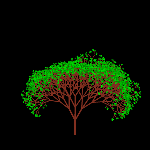 A computer generated fractal tree