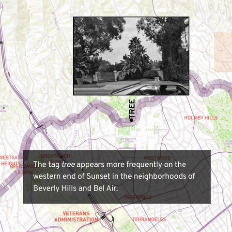 A map zoomed in on Sunset Boulevard with marks along the road indicating the location of photographs in Ed Ruscha's archive, some of which are annotated with the word "tree" where computer image recognition software detected a tree