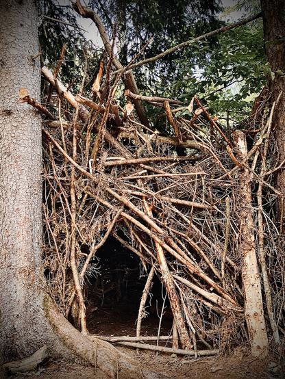 A thick hut leaning on a pine