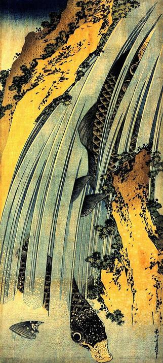 Two giant carp try to swim up a waterfall. A ukiyo-e woodcut print by Katsushika Hokusai.