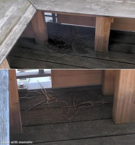 Und wieder weniger werdend, zuletzt nur einzelne Fragmente eines.ehemals vielversprechenden Nestes.