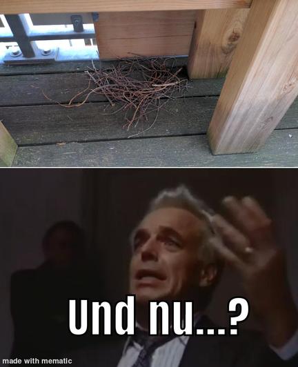 Wieder bissel mehr.
Im unteren Teil hebt Leland Palmer aus Twin Peaks die Hände, ein Memetext sagt: Und nu...?