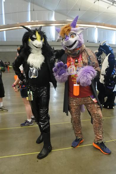 Fursuit photos - two dragons, Terry (left) and Chipazui (right) - Terry is a black, white and yellow fluff dragon wearing a punk jacket and PVC jeans.
Chipazui is purple and is wearing a matching jacket and pants with 1970s-looking floral designs on it.