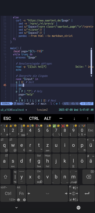 Screenshot meines Android Telefons mit geöffnetem Quelltext in Neovim