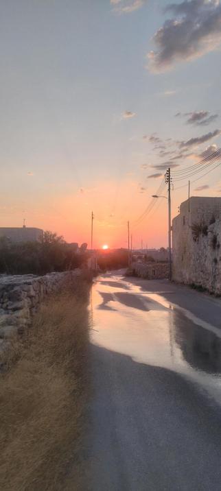 The morning sunrise down the tomato farm road, the road is soaked with water from the overnight humidity and it reflects the orange and dusty blue of the morning sky, that is coloured by the red/orange morning sun.
