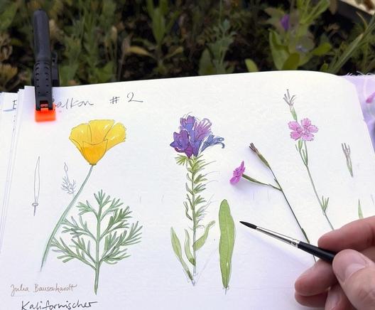 Sketchbook page in the middle of being painted with three colorful wildflowers with blossoms and leaves, painted in watercolor. One pink flower lies next to the drawings for reference, a hand with a brush can be seen in the lower right. In the background, there's a hint of the flowerbed.
