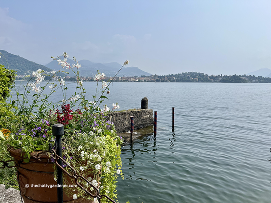 Planted container with white, red and purple flowers with a lake in the background.