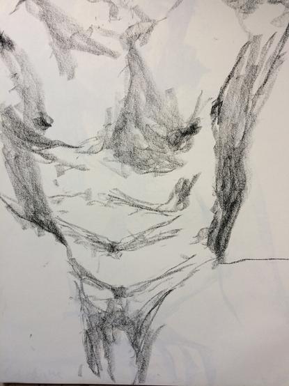 Drawing of a male art model torso. He is facing the viewer, seen from shoulders to crotch