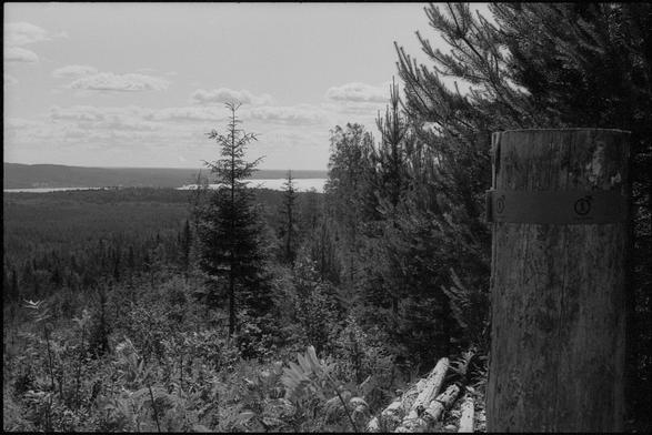 A black and white protograph of a forest landscape. In the distance, a large lake can be seen. The weather is mostly clear and hot, but a few clouds can be seen in the distance. The photographer is standing in a clearing on a large hill or on the mountain-side. A trail-marking for "Bergslagsleden" can be seen in the right corner.