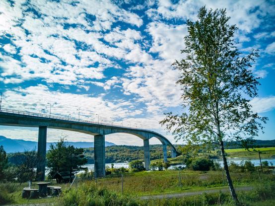 Photo shows a tall road bridge coming in from left dividing half the photo in half, over a landscape green under a sunny, lightly clouded sky. The bridge design matches the contours of the mountains in the background. It is an afternoon in early fall, and some colours of fall are starting to be visible. On the right side there is a sole, young birch tree framing the photo stretching towards the sky. Most of he leaves are green, but some are changing into fall red. A grain field in front lower part of the photo are recently harvested, and only the bare brown earth is visible. A small water fiord arm divides the harvested field from a field green and not yet harvested.