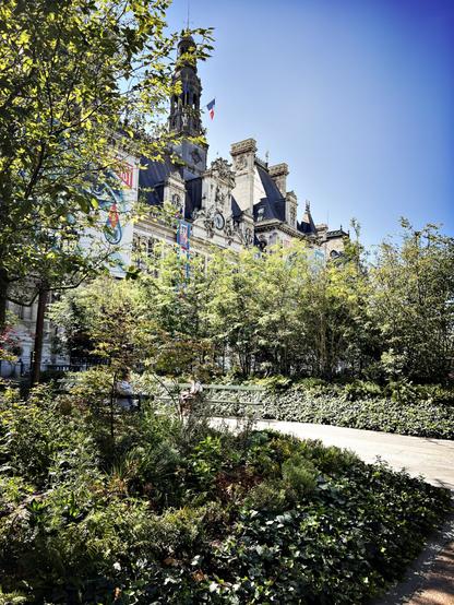 Plantation d’une mini-forêt sur le parvis de l’Hôtel de Ville de Paris