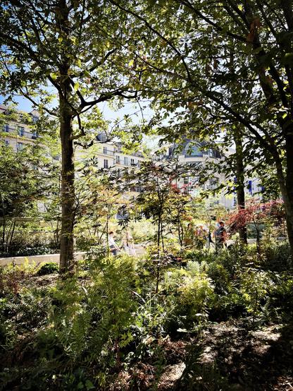 Plantation d’une mini-forêt sur le parvis de l’Hôtel de Ville de Paris