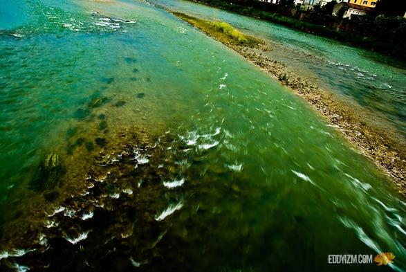 The River
#Verona #Italia
.
.
.
#SONY #A100
#architecture #photography #Italy #Europe #gooutside #travel #oldworld #old #lightroom #exploration #goexplore #wanderer