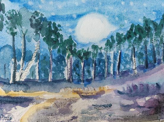 Forest by moonlight