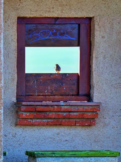 ๐ฃ๐ถ๐ฐ๐๐๐ฟ๐ฒ ๐๐ฒ๐๐ฐ๐ฟ๐ถ๐ฝ๐๐ถ๐ผ๐ป (๐๐ป๐ด): ๐๐ฒ๐๐ฐ๐ฟ๐ถ๐ฝ๐ฐ๐ถ๐ผ๐ป (๐๐๐ฝ): We see the interior wall of one of the many bird hides available to the public in the Nature Reserve of Lagunas de Villafรกfila (Spain). A small black redstart has perched on the opening of the hide and is, in turn, watching the photographer.
๐๐ฒ๐๐ฐ๐ฟ๐ถ๐ฝ๐ฐ๐ถ๐ผฬ๐ป (๐๐๐ฝ): Vemos la pared interior de un puesto de observaciรณn de aves de las muchas que estรกn a disposiciรณn del pรบblico aficionado en la Reserva Natural de las Lagunas de Villafรกfila (Espaรฑa). En la tronera del observatorio se ha posado un pequeรฑo colirrojo tizรณn que observa, a su vez, al fotรณgrafo.