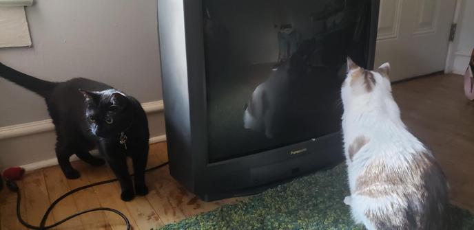 an old 4:3 panasonic crt television