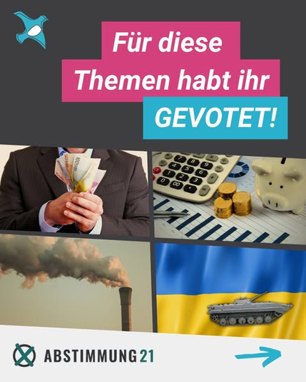"Für diese Themen habt ihr gevotet" steht als Überschrift über vier kleine Bilder welche die vier Themen darstellen sollen.