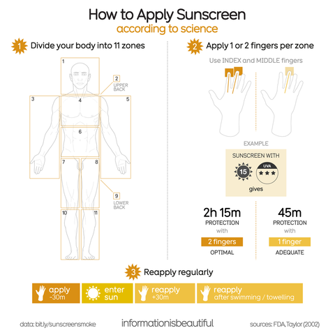 An infographic titled "How to Apply Sunscreen According to Science" showing a human figure divided into 11 zones for sunscreen application. Instructions include applying 1 or 2 fingers of sunscreen per zone using index and middle fingers. Protection time is 2 hours 15 minutes when using 2 fingers, and 45 minutes with 1 finger. Emphasizes reapplying sunscreen regularly, especially after swimming or toweling off.