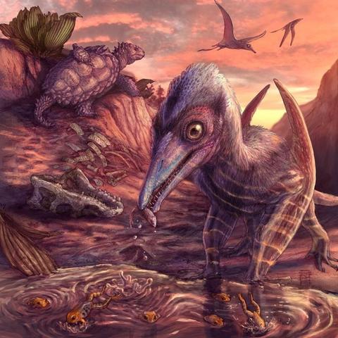 Scientists just discovered a 209-million-year-old tiny winged #reptile that's completely changing what we thought we knew about the #evolution of flight. This fossil find pushes back the timeline for powered flight by millions of years.
