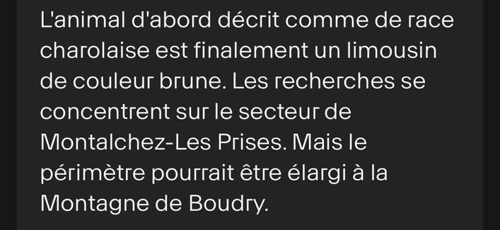 L'animal d'abord décrit comme de race charolaise est finalement un limousin de couleur brune. Les recherches se concentrent sur le secteur de Montalchez-Les Prises. Mais le périmètre pourrait être élargi à la Montagne de Boudry.