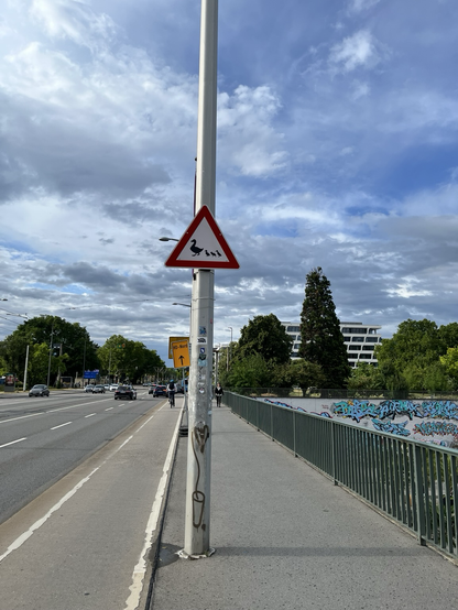 Ein Vorsicht Schild darin ein Schwan voran oder eine Gans und drei kleinere Vögel oder Küken dahinter. Das Schild hängt an einer Brücke, am Fahrradweg.