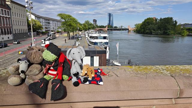 Auf der Brüstung des Eisernen Stegs mit Blick über den Main in Richtung europäische Zentralbank. Am Mainufer liegen Hotelschiffe.