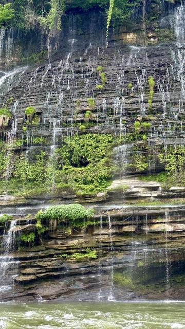Layered rock cliffs with moss, plants and streams of water trickling down into the river below