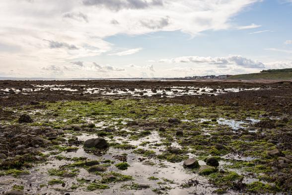 EN: Semi-cloudy view of the part of the North Sea exposed by the low tide. Green algae, stones and puddles stand out against the otherwise brown ground. You can see the sea sparkling on the horizon, with the harbor of Arbroath on the right.

DE:  Halbbewölkter Blick auf das durch die Ebbe freigelegte Stück Nordsee. Grüne Algen, Steine und Pfützen heben sich vom sonst brauen Untergrund ab. Am Horizont sieht man das Meer funkeln, auf der rechten Seite erahnt man den Hafen von Arbroath.