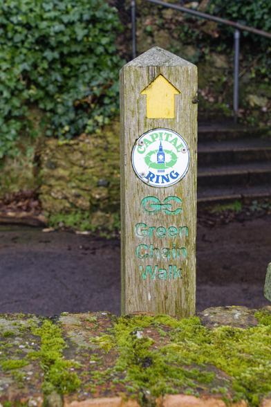 A wooden post has a yellow arrow pointing up. There is a roundel with Capital Ring on it, and below that are in green the words Green Chain Walk. The post stands behind a moss covered brick wall.