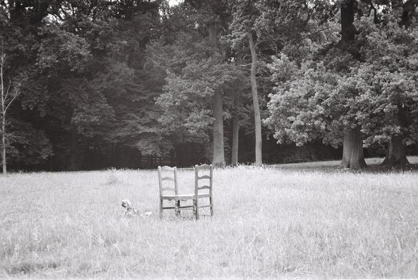 Black and white photo of a quiet meadow bordered by tall trees. Two rustic wooden chairs sit side by side in the tall grass, facing forward. A small dog rests nearby, gazing toward the camera.