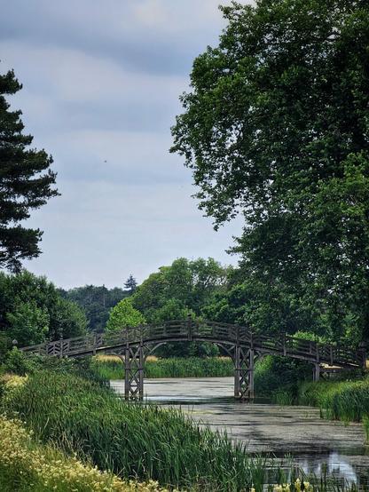 A rustic wooden bridge with ornate railings spans a calm, reflective canal. Lush green reeds and trees frame both sides of the water, with dense woodland visible in the background under a soft, overcast sky. The scene evokes a sense of tranquil nature and peaceful solitude.