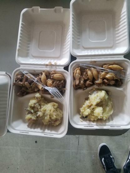 Two clamshell food dishes with mushroom stroganoff and mashed potatoes