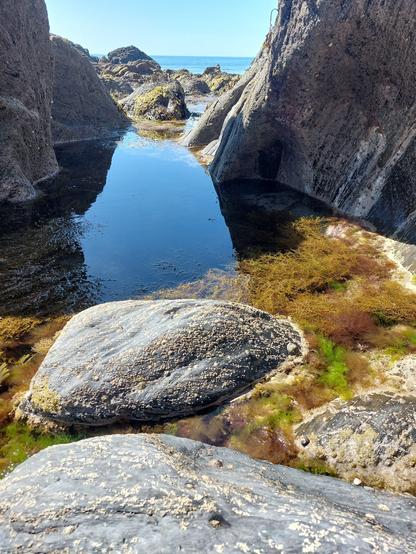 Rocks, rockpools and blue sky