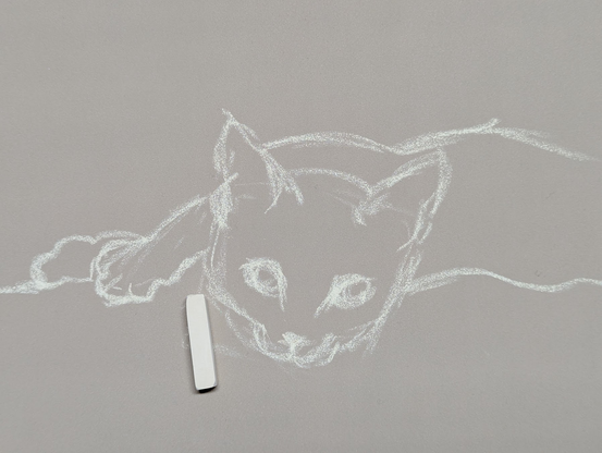 Preliminary drawing of a cat with white pastel chalk on grey toned paper