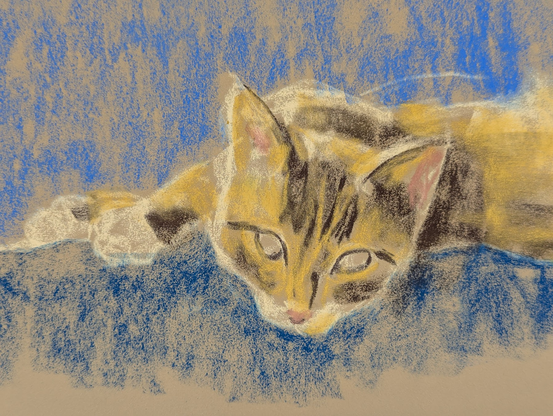 First color applications with soft pastels, blue in the background, brown tones for the cat's fur