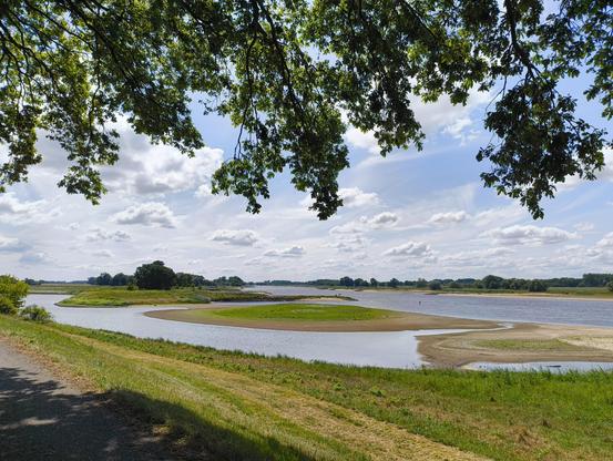 Blick vom Radweg auf die Elbe. Ein schmaler Seitenarm mündet hier in den Fluss. Durch den niedrigen Wasserstand haben sich im Mündungsbereich große Sandbänke aufgetan, auf denen teilweise schon Gras wächst.