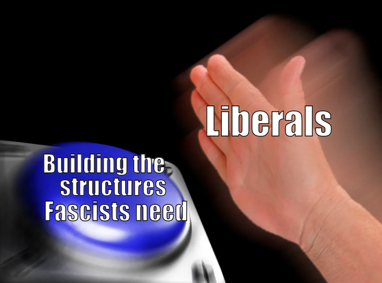 A very blurred hand moving quickly towards a blue button. The button has the text “building the structures fascists need”. The hand has the text “liberals”.