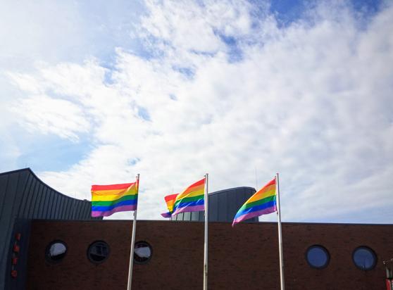 Drei Regenbogenflaggen flattern im Wind.