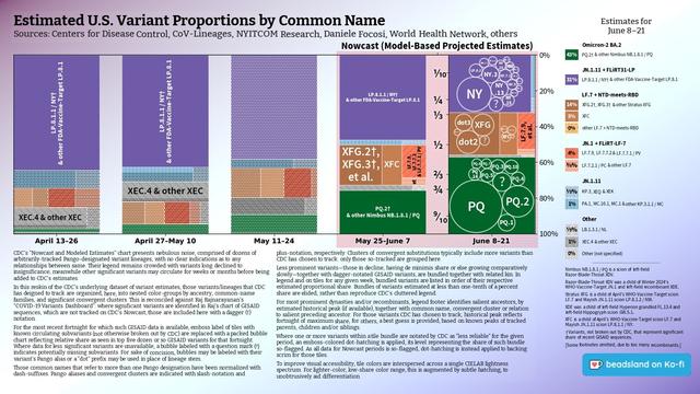 Chart: Est. U.S. Variant Proportions by Common Name
Sources: CDC, Cov-Lineages, NYITCOM, others

[ beadsland on Ko-fi ]

Reskin of CDC's Variants Nowcast, and any significant variants in GISAID not broken out by CDC.

Five bar-style tree-charts, for fortnights through 6/8–6/21. Legend of last fortnight, organized by subheadings of color-grouped families and convergent clusters. Percentages overlay each color key, reflecting share as of most recent tree-chart.

WHO-Vaccine-Target JN.1 family accounts for well over half. Nimbus NB.1.8.1 / PQ for over two fifths share.

For 6/8–6/21, packed bubble charts fill single-variant tiles, reflecting GISAID detail not shown by CDC's Nowcast.

Legend:

Omicron-2 BA.2 [green]:
43% - PQ.2† & other Nimbus NB.1.8.1 / PQ

JN.1.11 + FLiRT31-LP [purple]:
31% - LP.8.1.1 / NY† & other FDA-Vaccine-Target LP.8.1

LF.7 + NTD-meets-RBD [browns]:
14% - XFG.2†, XFG.3† & other Stratus XFG
5% - XFC
0% - other LF.7 + NTD-meets-RBD

JN.1 + FLiRT-LF-7 [reds]:
4% - LF.7.9, LF.7.7.2 & LF.7.7.1 / PV
⅗% - LF.7.2.1 / PC & other LF.7

JN.1.11 [blues]:
⅓% - KP.3, XEQ & XEK
1% - PA.1, MC.10.1, MC.1 & other KP.3.1.1 / MC

Other [greys]:
⅕% - LB.1.3.1 / NL
1% - XEC.4 & other XEC
0% - Other (not specified)
_____

Nimbus NB.1.8.1 / PQ is a scion of left-field Razor-Blade-Throat XDV.

Razor-Blade-Throat XDV was a child of Winter 2024's WHO-Vaccine-Target JN.1 and left-field recombinant XDE.

[Some footnotes omitted, due to too many recombinants.]