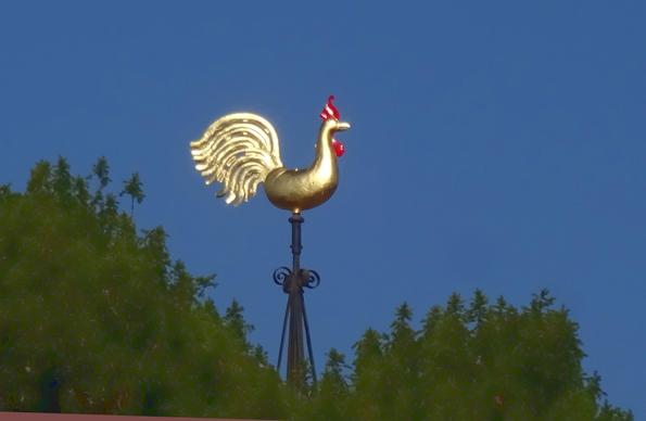 A weathervane - a golden cockerel, with bright red crown & wattles  - above the trees, against a deep blue sky.