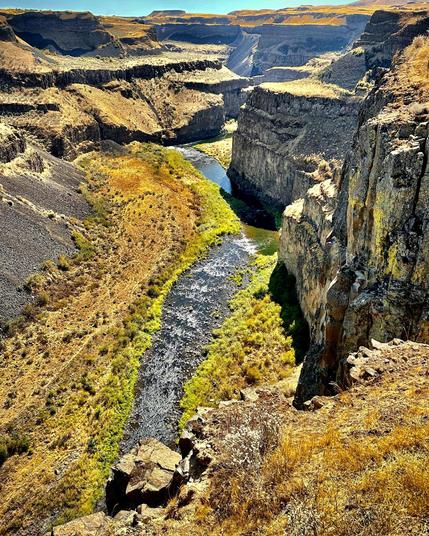 A view of a desert river canyon from above. The sunlight is bright and shining on the water. Rapids can be seen along the river.