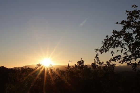 Similar view, a little to the right. A snag is visible against the sky, and he sun is behind the top of an oak tree.